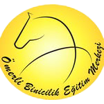 Logo1